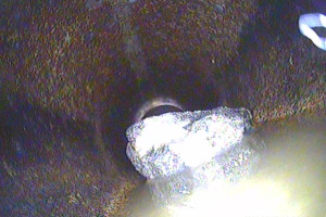Camera Inspection