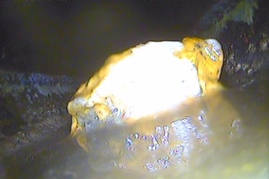 Blocked drain
