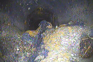 Blocked drain