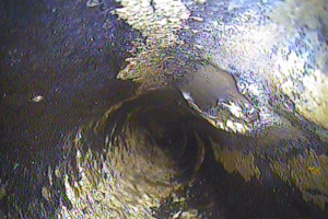 Blocked drain