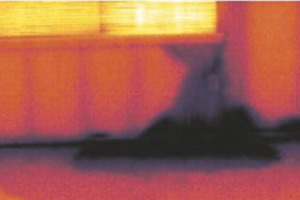 Thermal Leak detection
